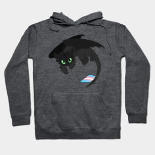 Toothless (Trans, Pink) Hoodie